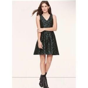LOFT Green Black Jacquard Leopard Fit & Flare A Line Dress 6P New Party Event
